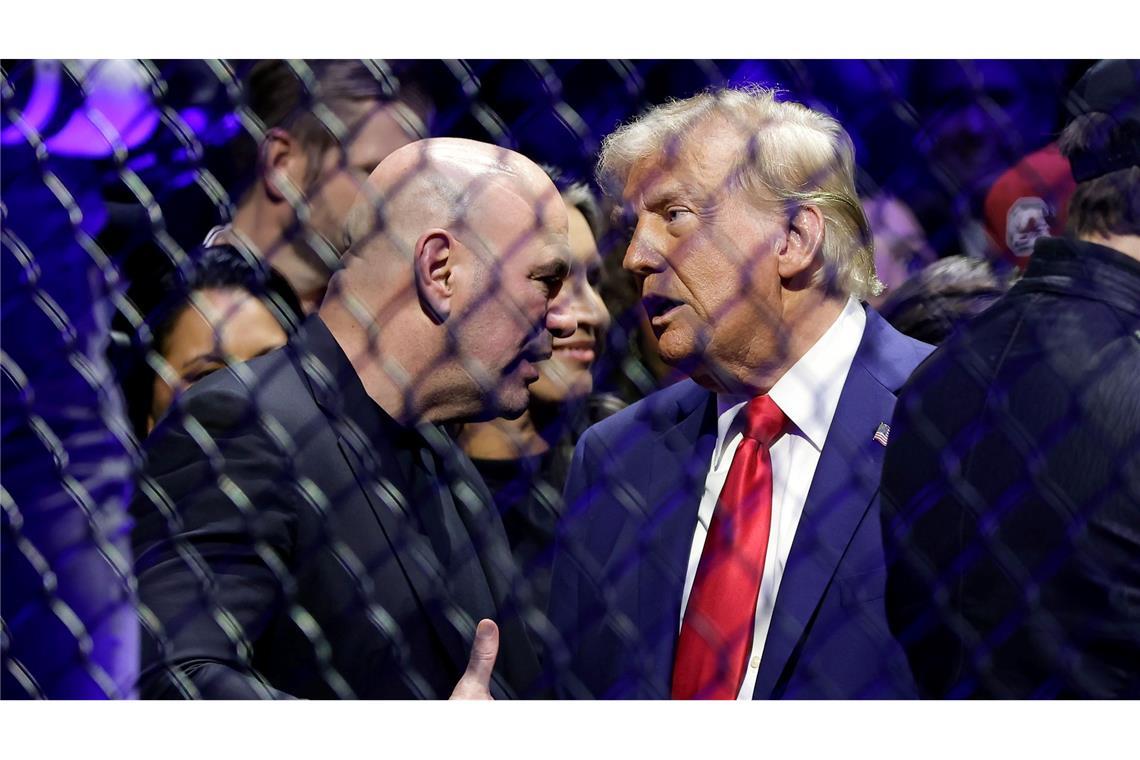 UFC-Boss Dana White ist ein glühender Anhänger des US-Präsidenten. (Archivbild)