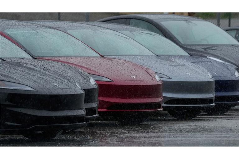 Um den Namen von Teslas Assistenzsystem "Autopilot" gibt es schon lange Streit. (Archivbild)