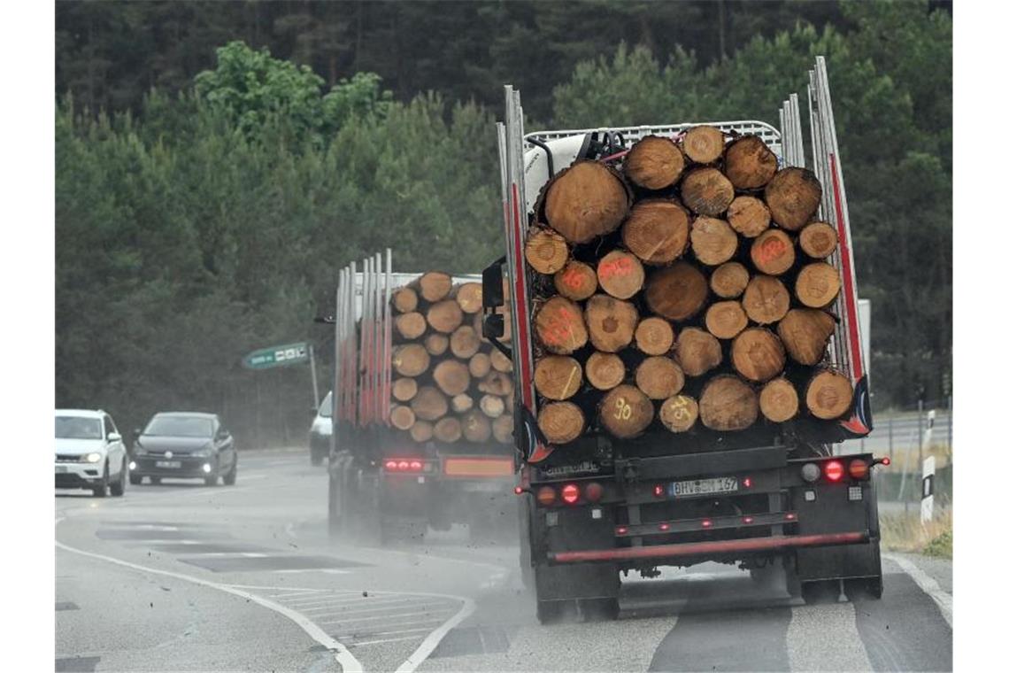 Um Engpässen und massiven Preissteigerungen bei Bauholz in Deutschland entgegenzuwirken, werden vorübergehende Exportbeschränkungen gefordert. Foto: Patrick Pleul/dpa-Zentralbild/dpa