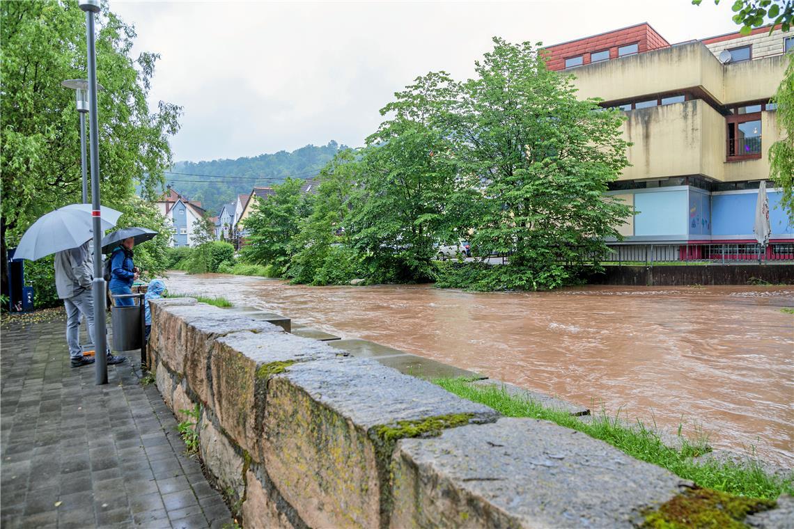 Um Murrhardt vor Wassermassen zu schützen, wird das HRB Gaab gefördert. Archivfoto: Stefan Bossow