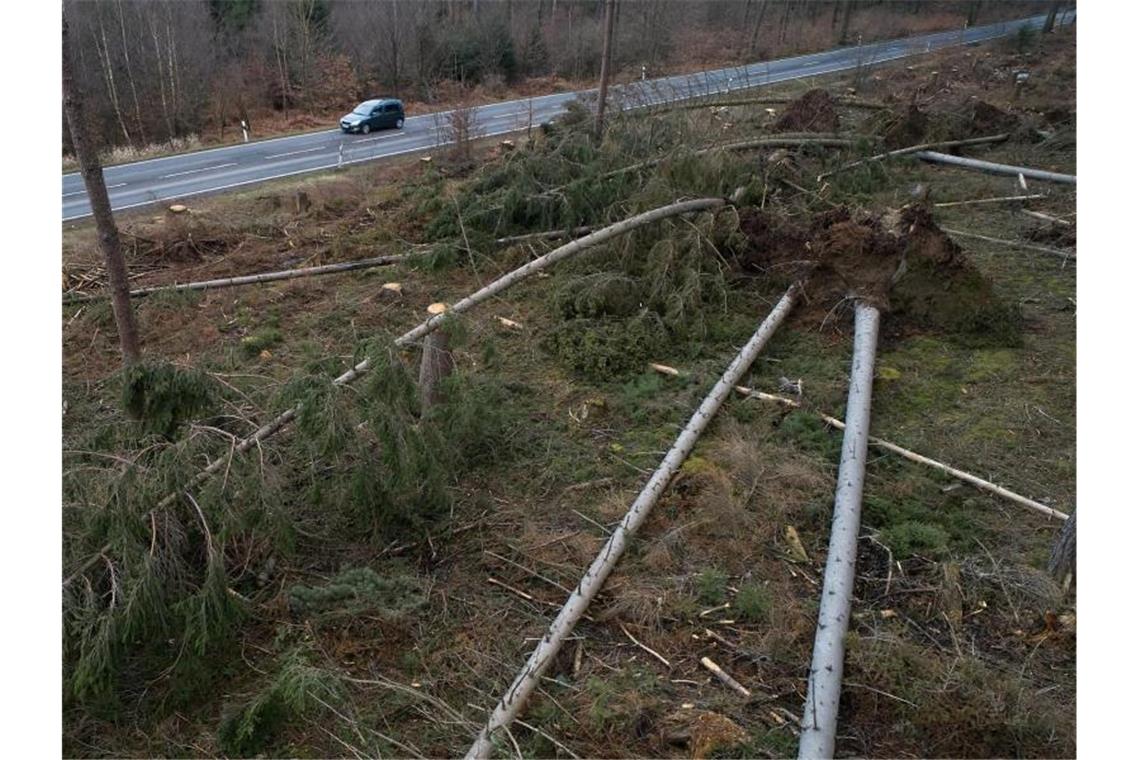 Umgeknickte Bäume liegen neben einer Landstraße. Foto: Thomas Frey/dpa/Archivbild