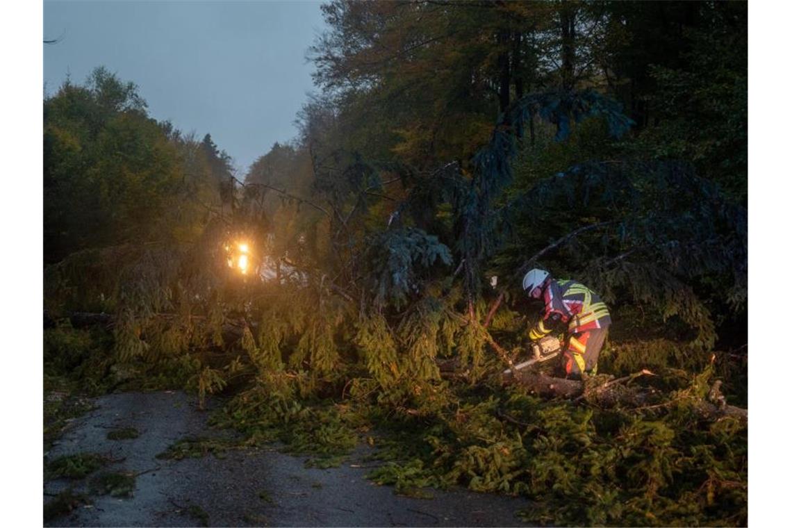 Umgestürzte Bäume bei Börfink im Hunsrück. Ignatz hat auch in Rheinland-Pfalz seine Spuren hinterlassen. Foto: Harald Tittel/dpa