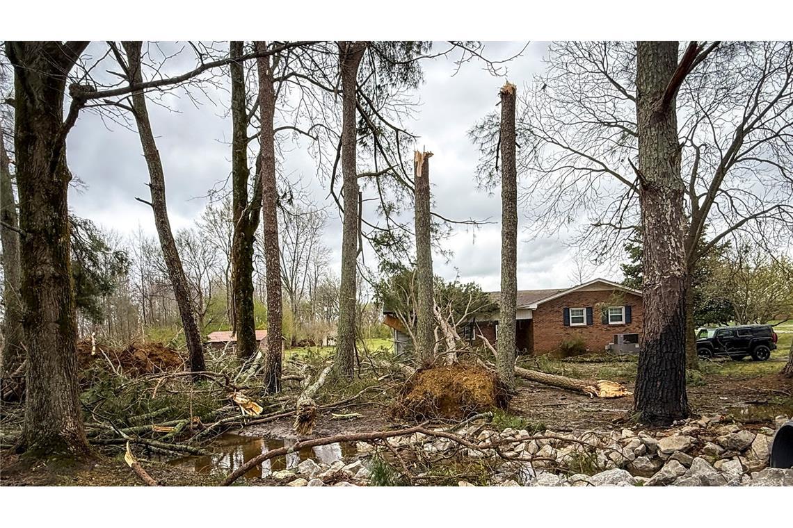 Umgestürzte und entwurzelte Bäume umgeben ein Haus in Lexington, Alabama.