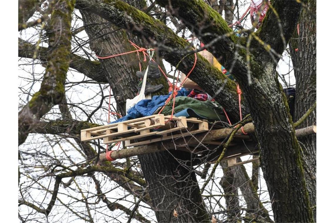 Ravensburger Baumbesetzer dürfen erstmal bleiben Umweltaktivisten besetzen in der Innenstadt einen alten Baum. Foto: Felix Kästle/dpa/Archivbild