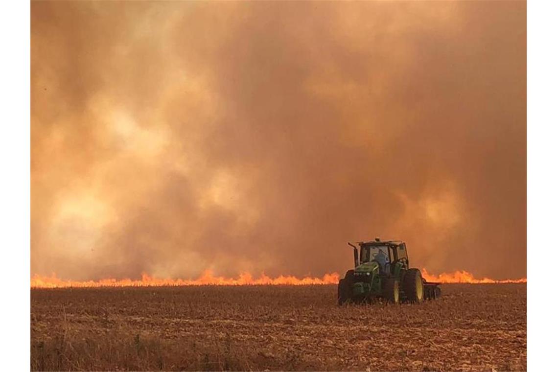 Umweltschützer werfen Bolsonaro vor, ein politisches Klima geschaffen zu haben, in dem sich Bauern zu immer mehr Abholzung und Brandrodung ermutigt sehen. Foto: CBMMT