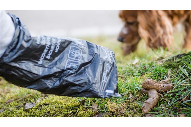 Unabhängig davon, ob kostenlose Hundekotbeutel zur Verfügung stehen, müssen sich Halter um die Beseitigung des Drecks ihrer Tiere kümmern.