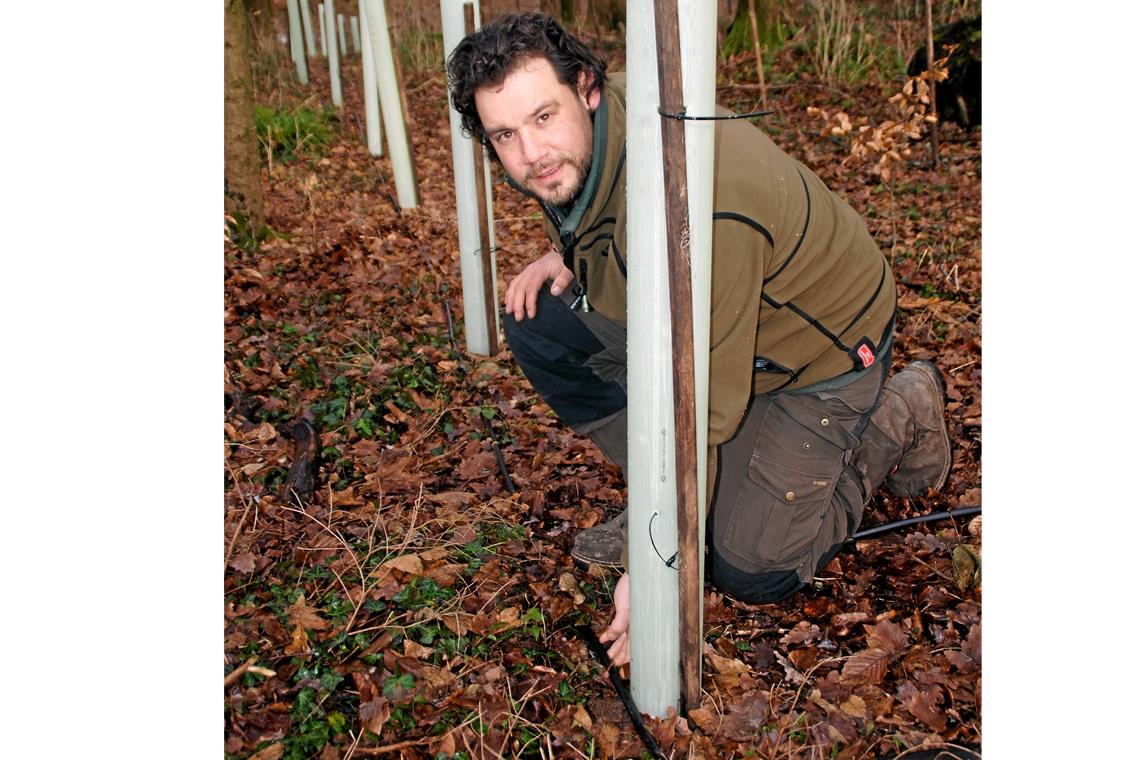 Bäume im Wald werden bewässert Unauffällig, aber hochwirksam in trockenen Zeiten: Markus Laiblin hat in Berwinkel einen Bewässerungsversuch gestartet. Verwendet wird ein israelisches Schlauchsystem. Foto: U. Gruber