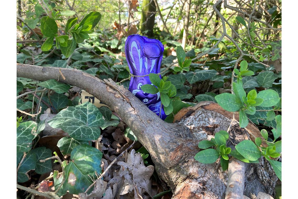 Backnangs beste Osterverstecke gesucht Unauffällig tarnt sich der Osterhase im Unterholz. Foto: K. Fritz
