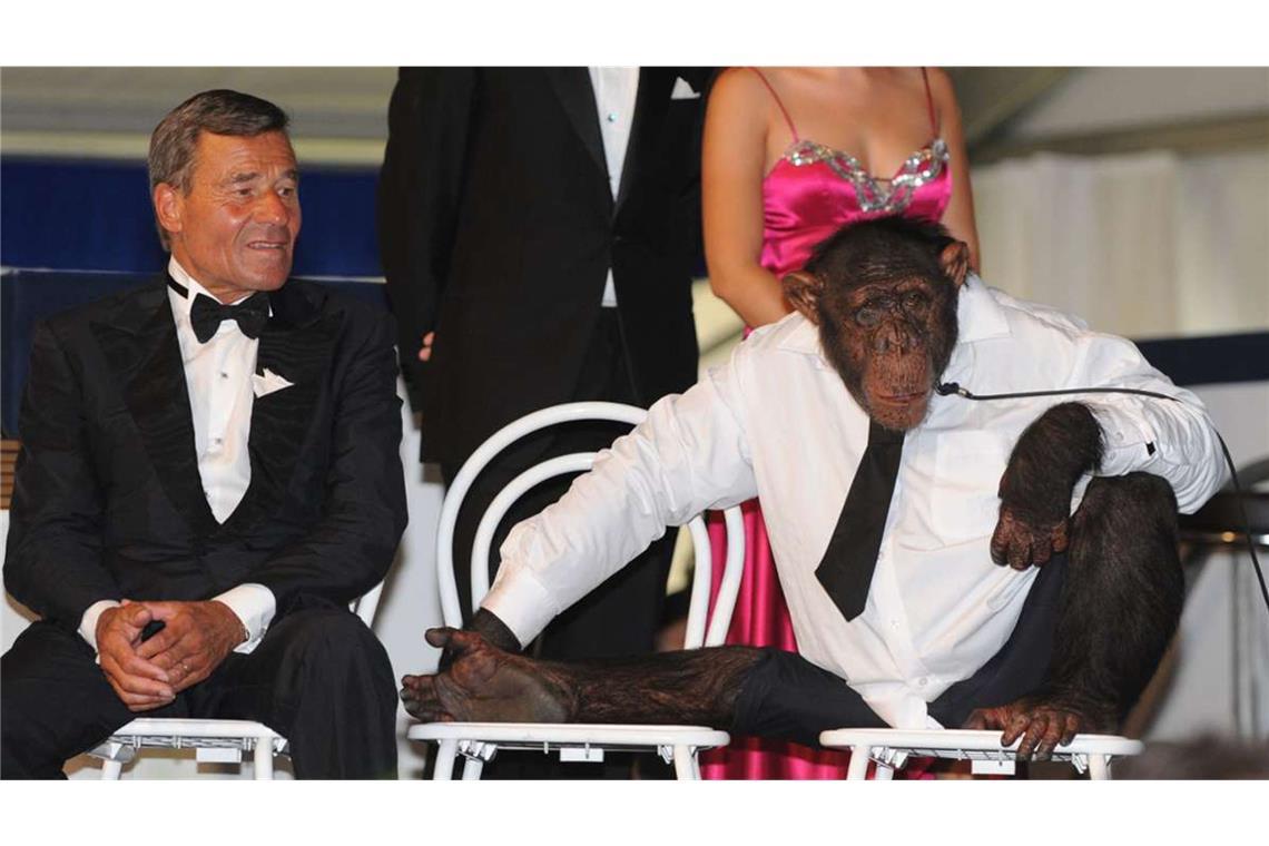 Und wie im Trigema-Werbespot trug auch dieser Schimpanse Hemd und Krawatte.