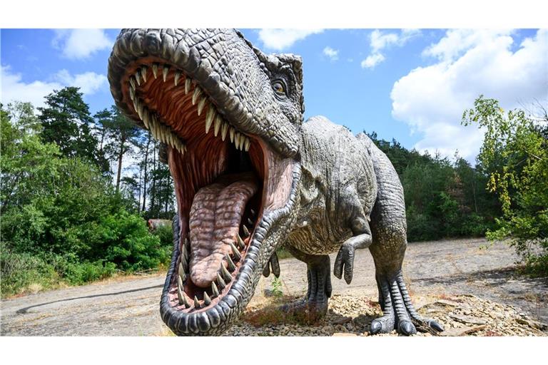 Ungefähr 15 bis 20 Jahre dauert es, bis ein Mensch ausgewachsen ist - beim gigantischen Tyrannosaurus rex waren es wohl zwei Jahrzehnte mehr.