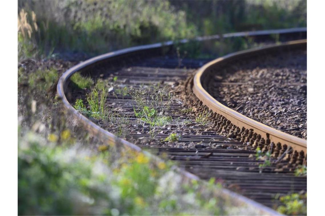 Im August bis zu acht Prozent der Bahnstrecken überlastet Unkraut wächst zwischen den Gleisen auf dem Gelände eines Bahnhofs. (Archivbild). Foto: Jens Büttner/dpa-Zentralbild/dpa
