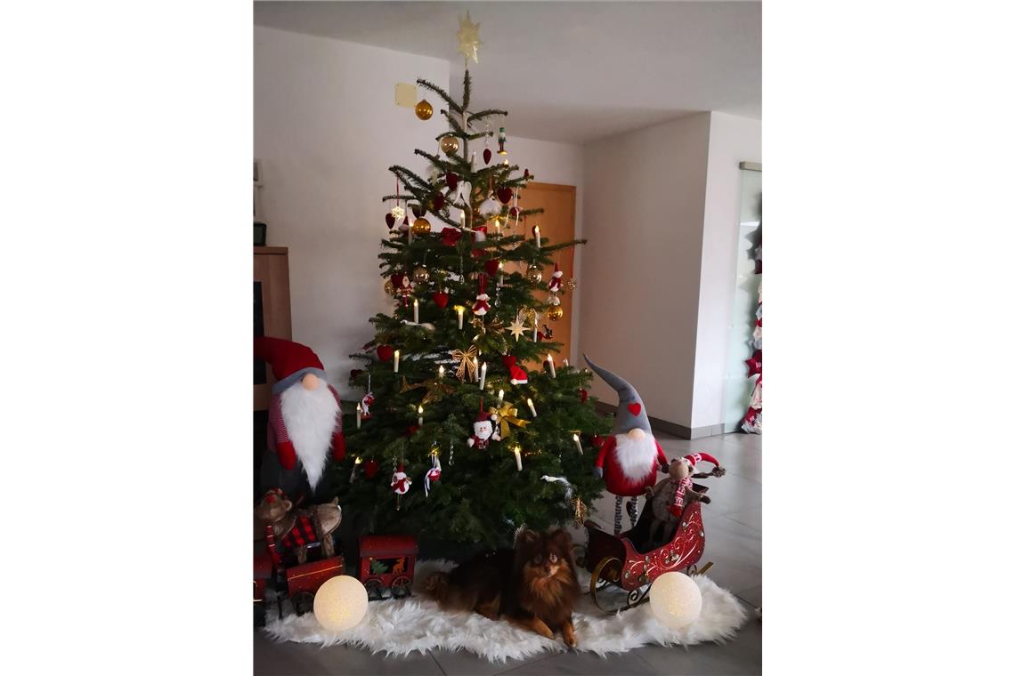 Unser schöner Weihnachtsbaum