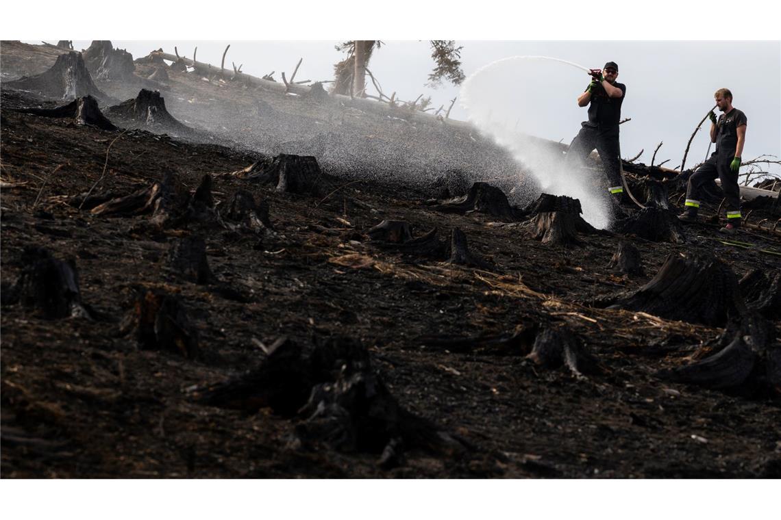 Leichte Entwarnung bei Waldbrand in Thüringen "Unsere Kräfte sind erschöpft", sagte Landrat Marko Wolfram.