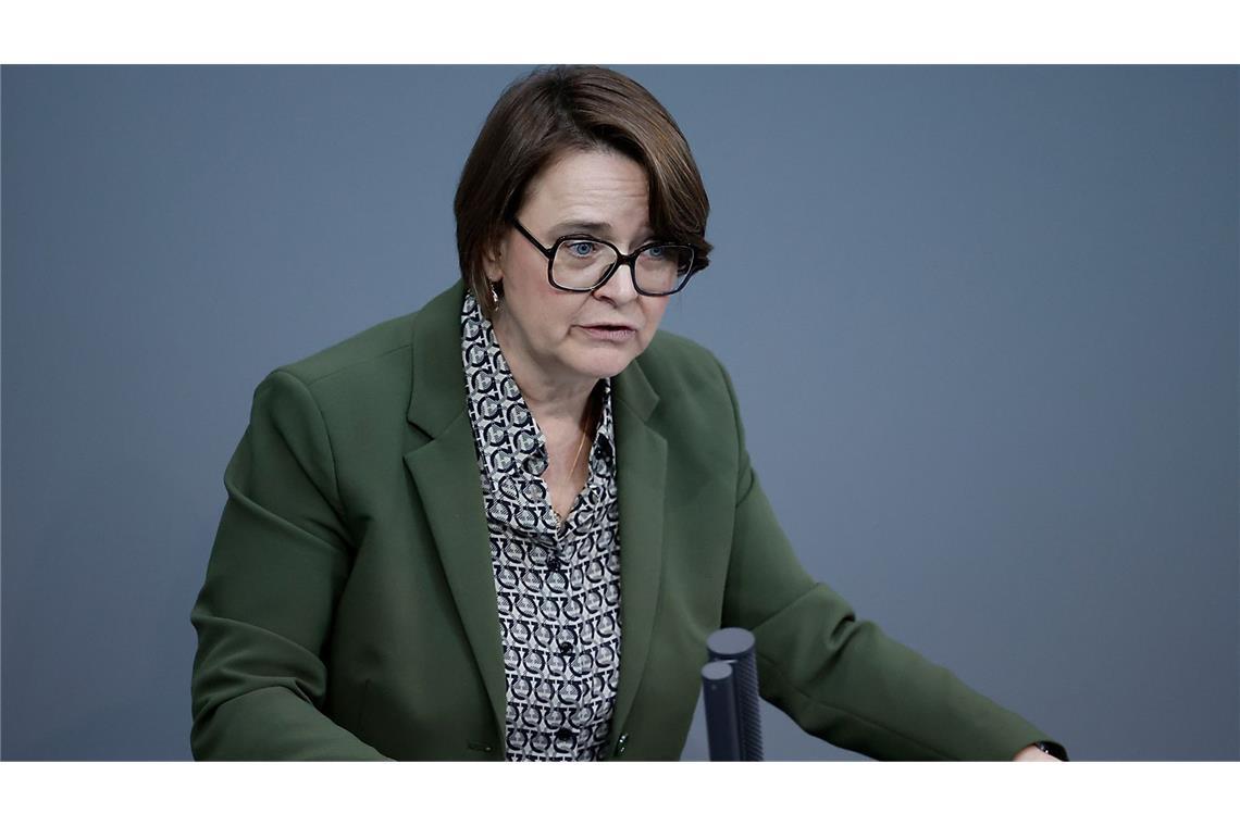 Zwei CDU-Abgeordnete stimmen nicht über Migrationsgesetz ab