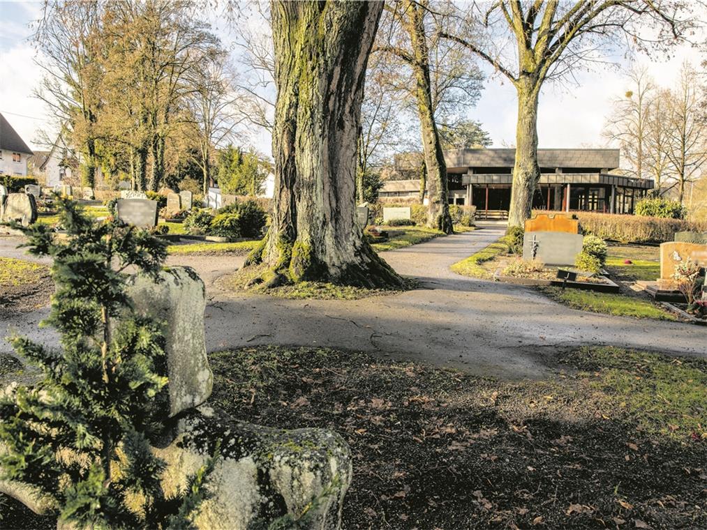 Der Friedhof soll moderner werden Unter anderem im Bereich rund um die Aussegnungshalle soll der Friedhof in Oppenweiler neu gestaltet werden. Foto: A. Becher