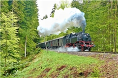 Unter dem Motto „Mit Volldampf voraus“ kehrt ein Stück Heimat in den Schwäbischen Wald zurück. Archivfoto: Gabriel Habermann