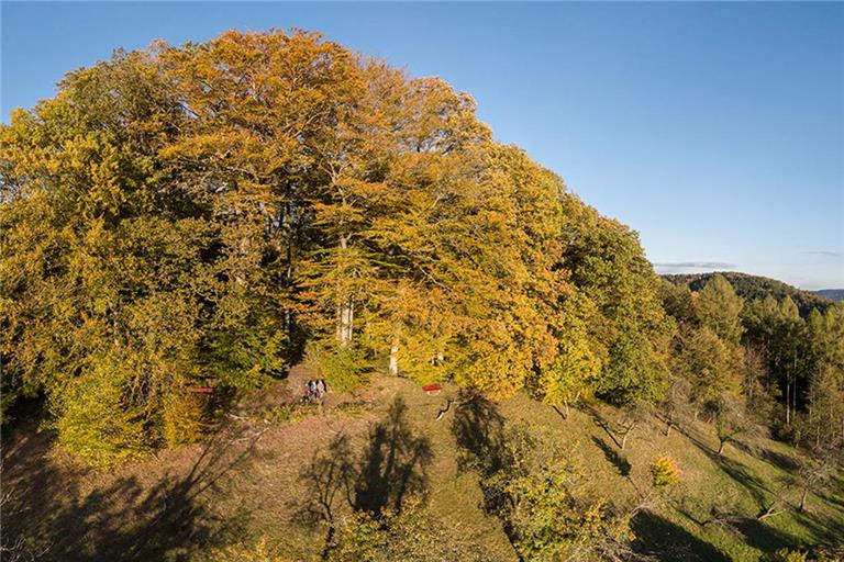 Unter den Wipfeln der Bäume, liegt die romantische Helenenruhe. Foto: Schwäbischer Wald Tourismus