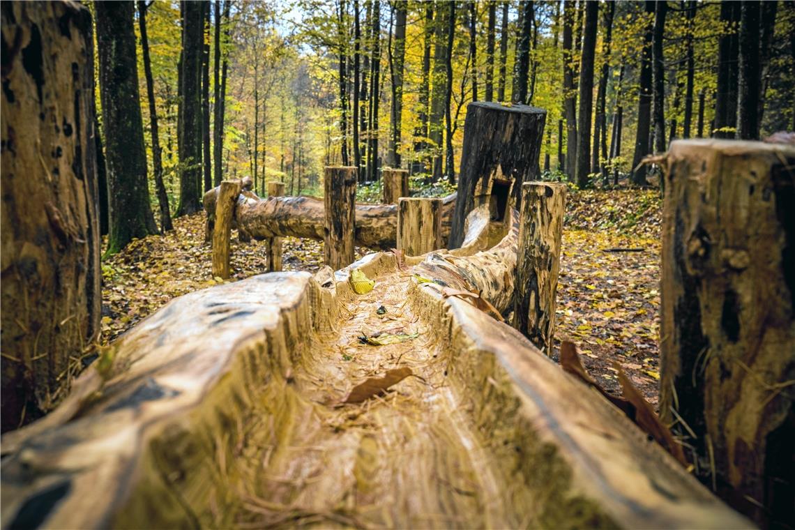 Unterhalb des Wildgeheges entsteht gerade eine neue Kugelbahn. Sie soll am Ende rund 180 Meter lang sein und ein neuer Anziehungspunkt für Familien mit Kindern im Plattenwald werden. Foto: Alexander Becher