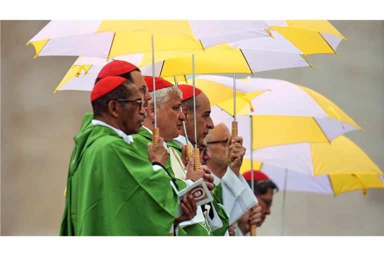 Unterm Schirm - Kardinäle feiern mit Papst Messe für Migranten und Missionare