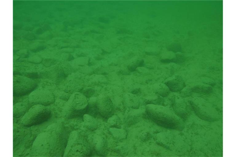 Unterwasseraufnahme von Hügel fünf. Foto: Matthias Schnyder/Amt für Archäologie des Kantons Thurga/Archivbild