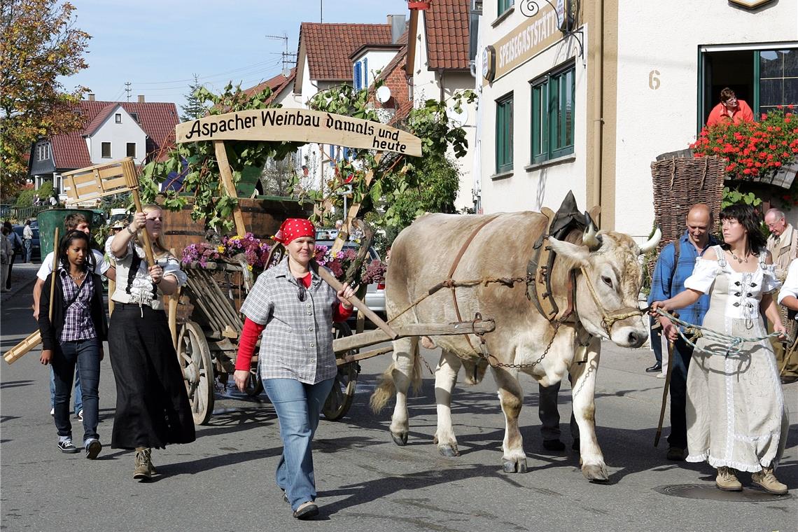 Unterwegs wie anno dazumal. Auch am Sonntag werden wieder zahlreiche Gruppen beim Festzug mitmarschieren, so wie etwa 2006.