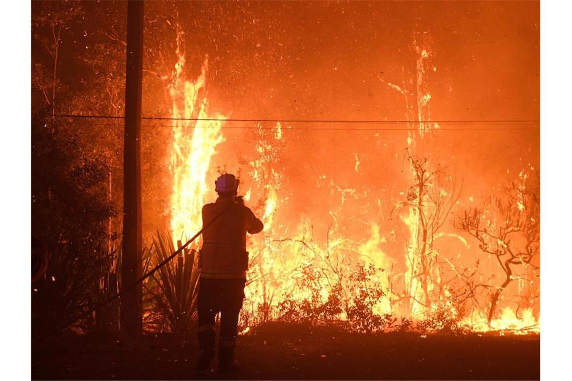 Unweit von Sydney haben sich mehrere Buschbrände zu einem "Mega-Feuer" vereint. Foto: Dan Himbrechts/AAP/dpa