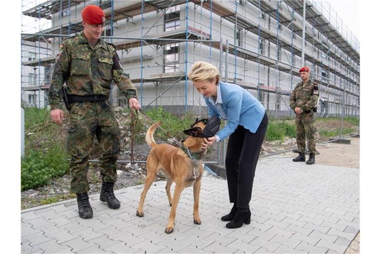 Ursula von der Leyen (CDU) streichelt beim Besuch des ABC-Abwehrbataillons 750 den Hund "Ernst von der Bundeswehr". Foto: Fabian Sommer