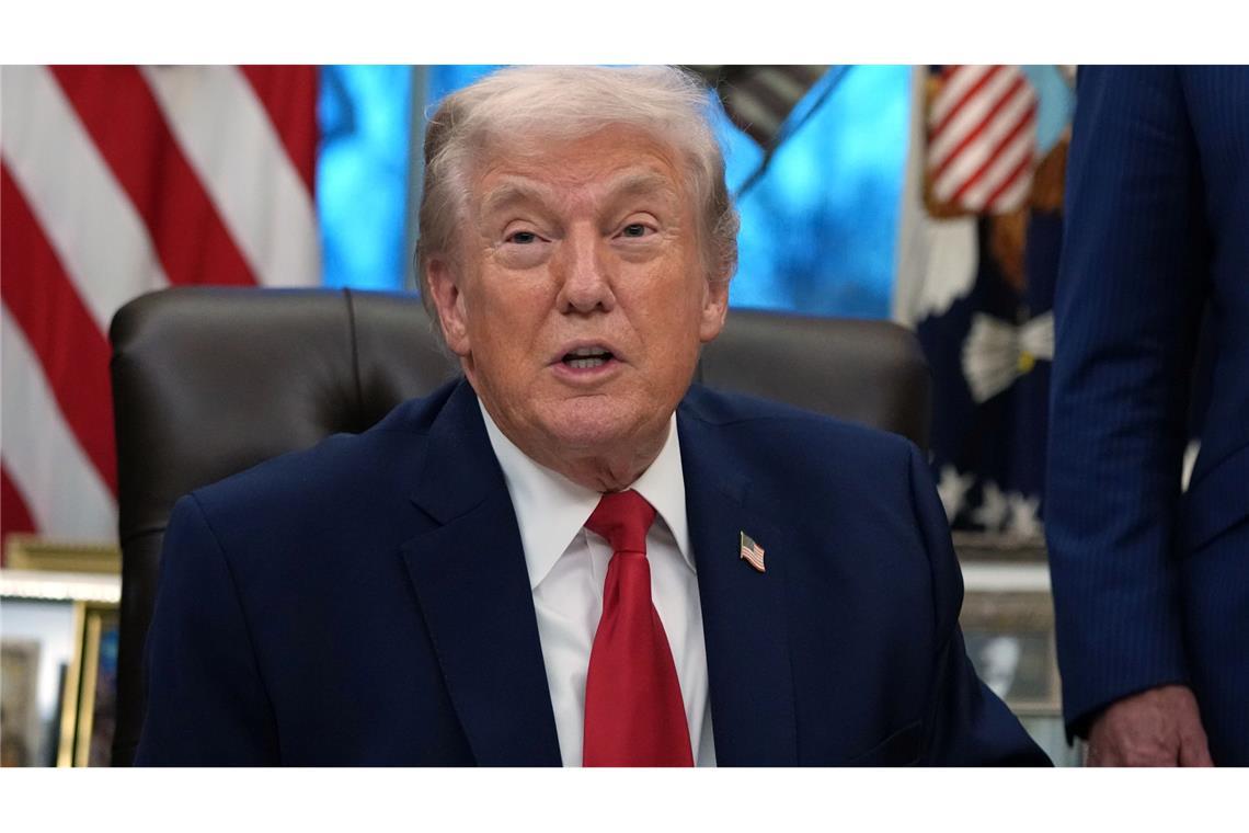 US-Präsident Donald Trump reichte die Klage formal als Privatmann ein.