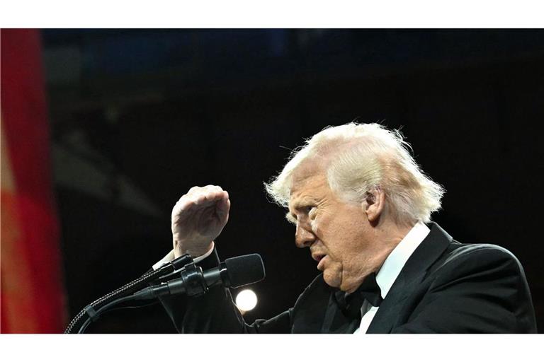 US-Präsident Donald Trump will Firmen in die USA holen. (Archivbild)