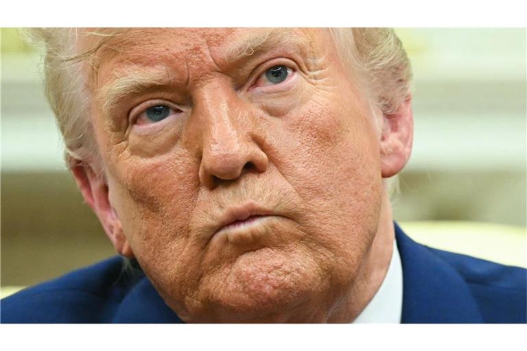 US-Präsident Donald Trump will sich mit dem Militär auf den Straßen der Hauptstadt Washington zeigen (Archivfoto).