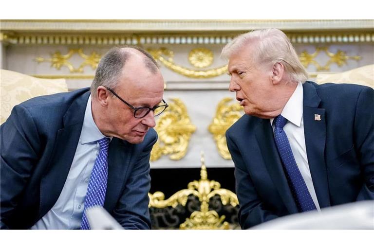 US-Präsident Trump hat die AfD nach deren Wahlsieg in Sachsen-Anhalt offen unterstüzt, dies sorgte für Verärgerung bei der Bundesregierung. (Archivbild)