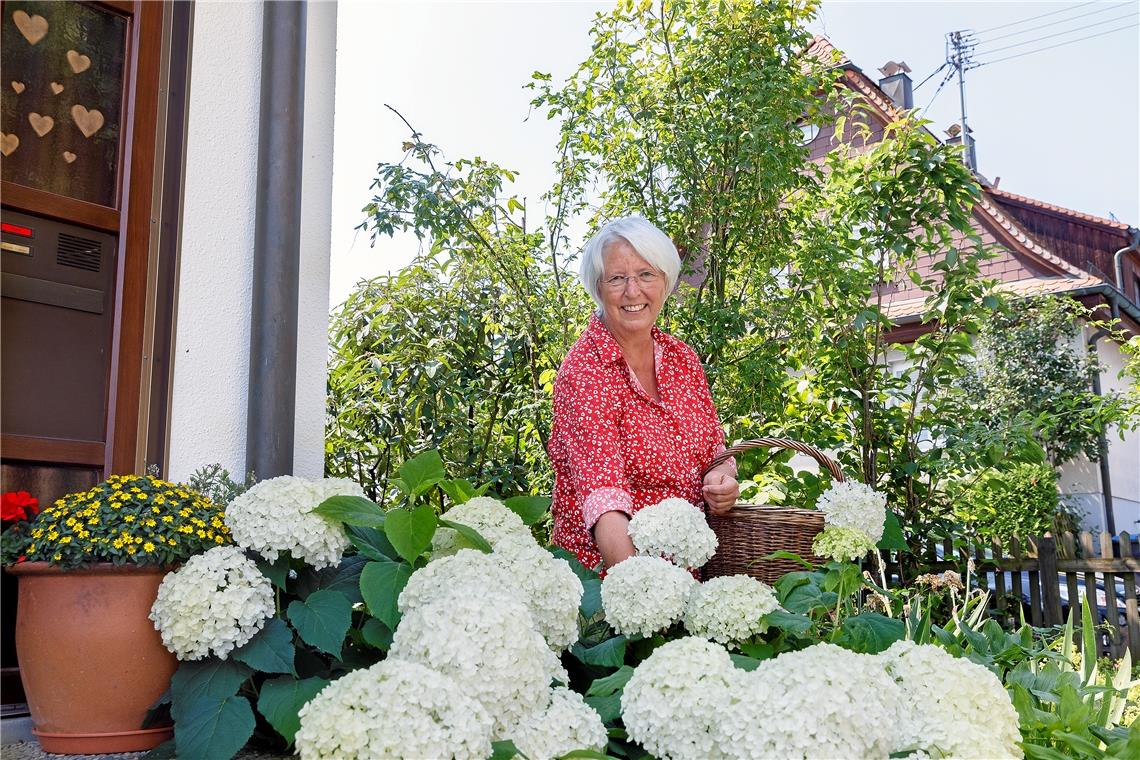 Ute Tränkle hat nicht nur ein Händchen für Hortensien, sondern weiß überhaupt eine Menge über alles, was so im Garten wächst und gedeiht. Foto: J. Fiedler