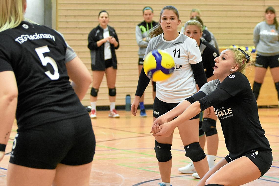 Vanessa Maglica (bei der Annahme) hat mit den Backnanger Volleyballerinnen um jeden Ball gekämpft. Foto: T. Sellmaier