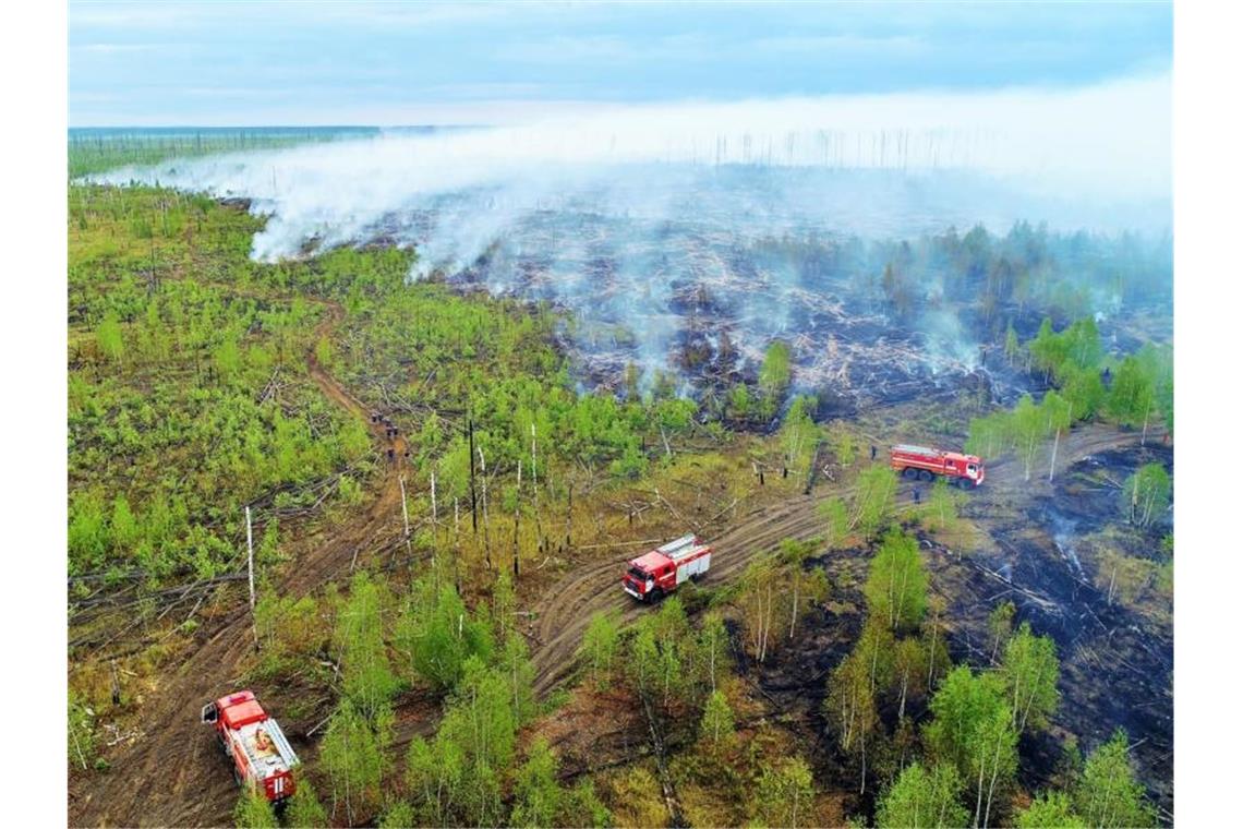 Verheerend: Ein Waldbrand im Naturschutzgebiet im Bezirk Temnikovsky. Foto: Ministerium für Notfälle/TASS/dpa
