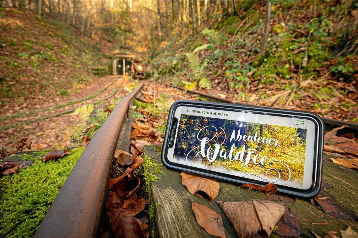 Vespertouren und digitale Schnitzeljagd im Naturpark