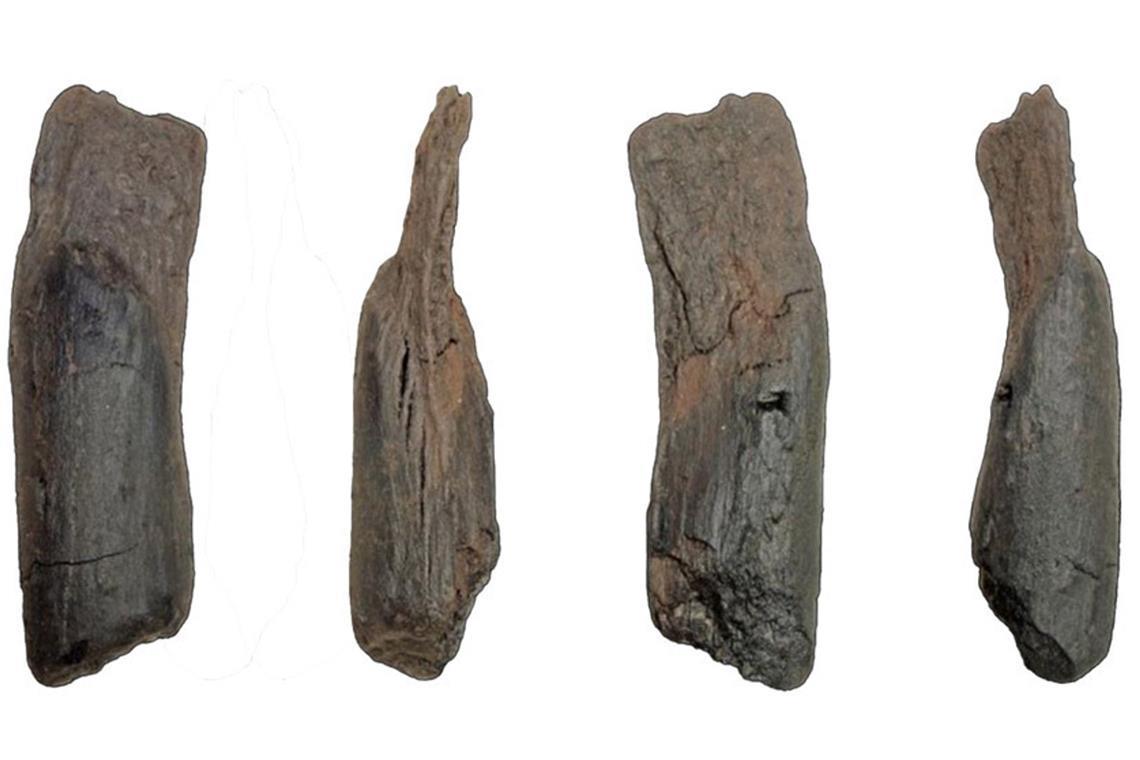 Verschiedene Ansichten des kleinen Holzwerkzeugs aus Weidenholz.