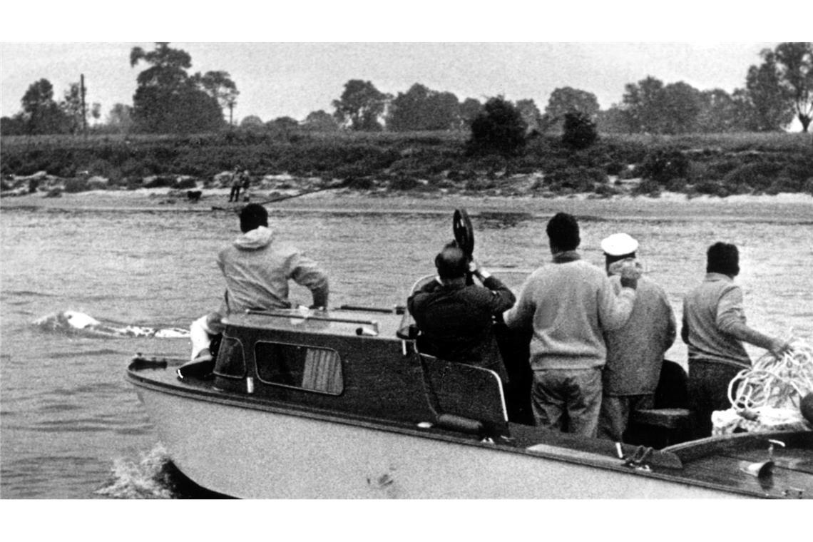 Verschiedene Boote waren tagelang auf der Spur des Wals. (Archivbild)