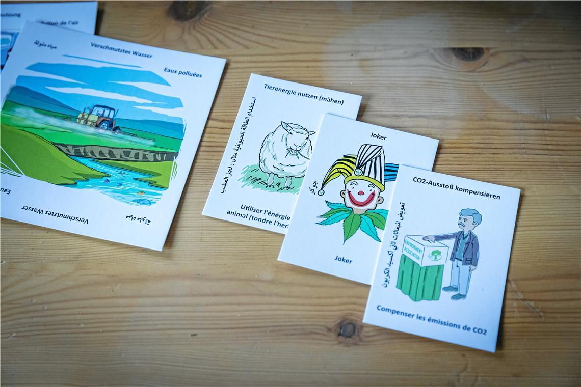 Sie möchten Schüler für Nachhaltigkeit begeistern Verschiedene Spiele zum Thema Nachhaltigkeit hat Egeler selbst mitentwickelt.