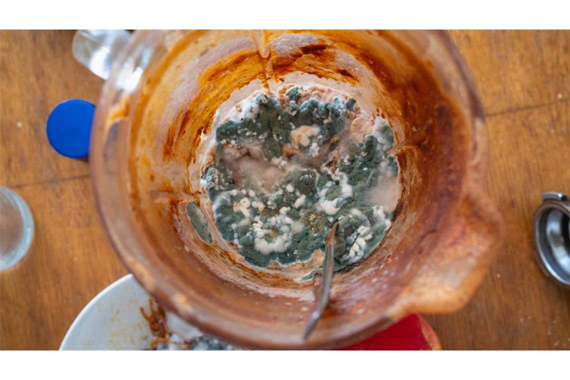 Verschimmelte Nudeln in Tomatensoße: Ein Schimmelpilz kann durch seine Zellbestandteile, seine Stoffwechselprodukte und seine Sporen Menschen und Haustieren schaden oder ihnen zumindest lästig sein. 