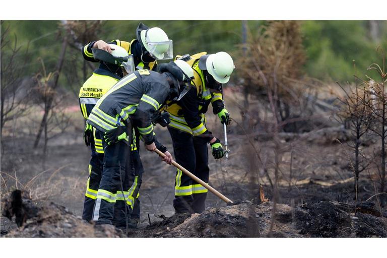 Versteckte Glutnester werden die Feuerwehrleute noch einige Tage nach dem Waldbrand auf der Saalfelder Höhe beschäftigen.