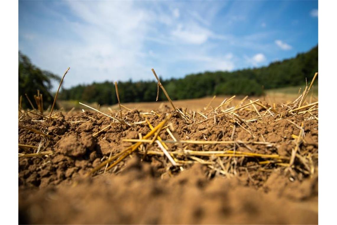 Knapp 292 Millionen Euro Dürrehilfe an Bauern ausgezahlt Vertrocknete Erde auf einem Acker. Foto: Daniel Karmann/dpa
