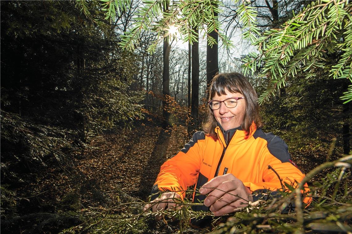 Verwalten ist für sie auch ein Draußen-Job: Dagmar Wulfes hat als erste Frau die Leitung des Kreisforstamts in Backnang übernommen. Foto: A. Becher