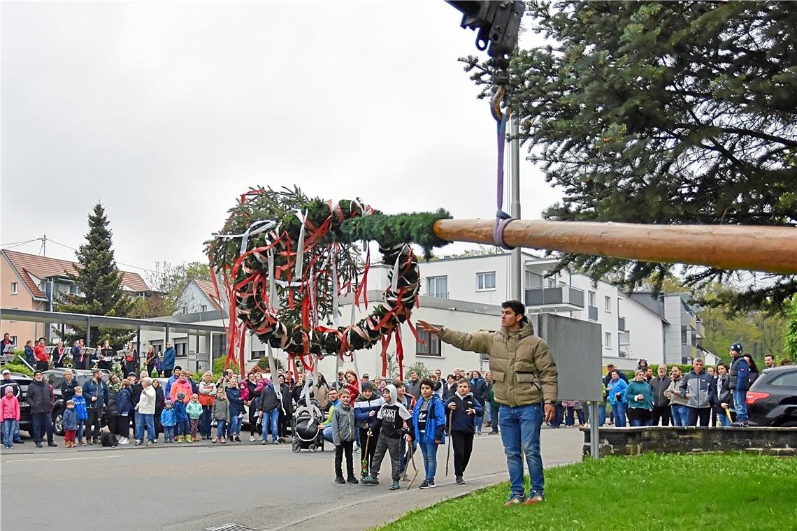 Viel beachtet aufgestellt: der Maibaum vor der Grundschule in Backnang-Sachsenweiler.
