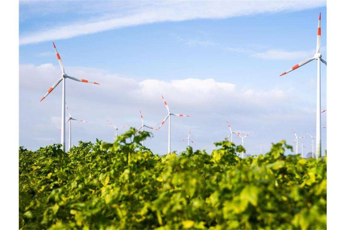 Ökostrom-Rekord im ersten Halbjahr Viel Wind und Sonnenschein haben den Ökostrom auf ein Rekordhoch getrieben. Foto: Julian Stratenschulte/dpa
