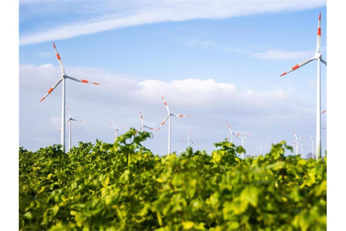 Viel Wind und Sonnenschein haben den Ökostrom auf ein Rekordhoch getrieben. Foto: Julian Stratenschulte/dpa