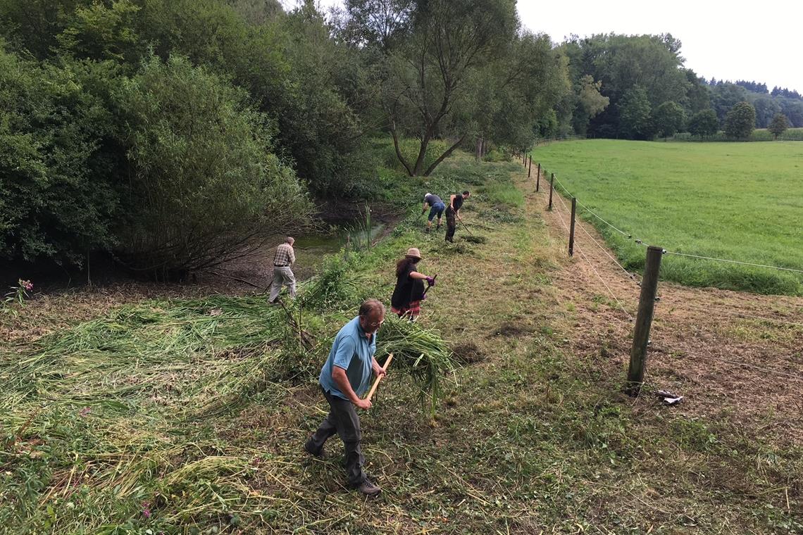 Viel Zeit und Arbeit haben die Ehrenamtlichen in die Gewässerpflege gesteckt. Dafür wurden sie nun ausgezeichnet. Foto: Nabu-Ortsgruppe Aspach