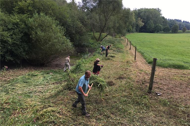 Viel Zeit und Arbeit haben die Ehrenamtlichen in die Gewässerpflege gesteckt. Dafür wurden sie nun ausgezeichnet. Foto: Nabu-Ortsgruppe Aspach