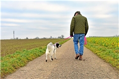 Viele Kommunen haben die Hundesteuer in den vergangenen Jahren angehoben, um mehr Geld in ihre Kassen zu spülen. Symbolfoto: Tobias Sellmaier