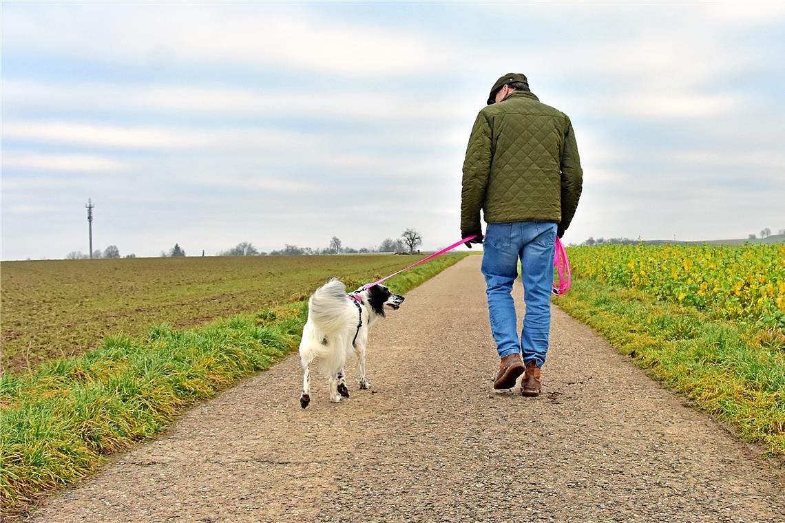 •Viele Kommunen haben die Hundesteuer in den vergangenen Jahren angehoben, um mehr Geld in ihre Kassen zu spülen. Symbolfoto: Tobias Sellmaier