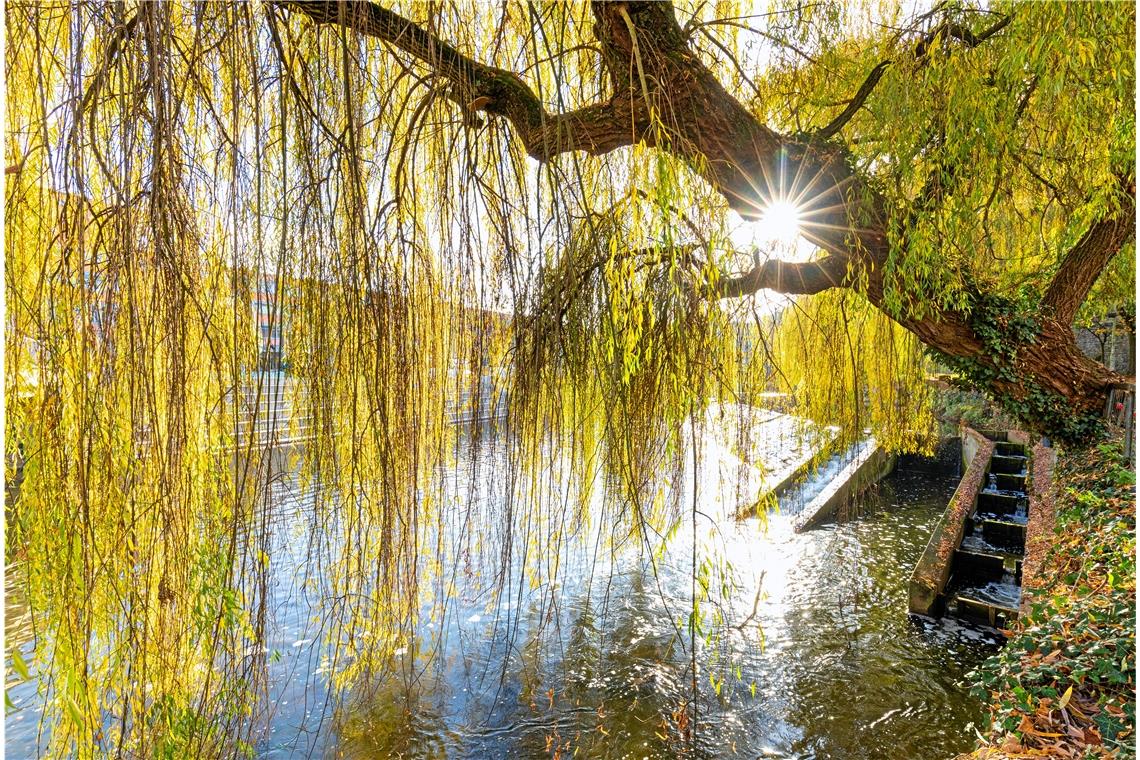 Zu warm und zu trocken im Jahr 2020 Viele Sonnenstunden prägten das Wetter im ganzen Jahr 2020. Foto: A. Becher